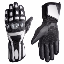 Motobike Gloves