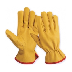 Driving Gloves